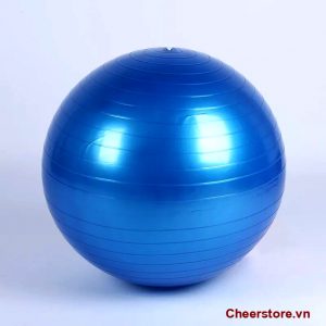 Bóng tập yoga trơn 65cm-4626